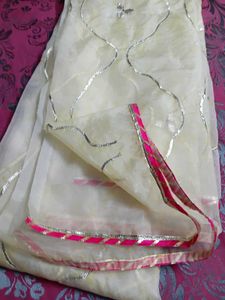 Elegant Embellished Dupatta