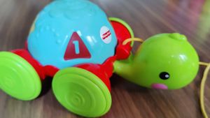 Fisher-Price Musical Turtle Toy