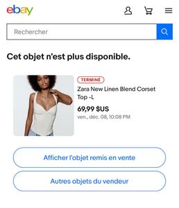 Zara White Corset Top