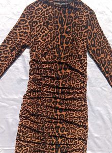 Sheer Cheetah Print Dress