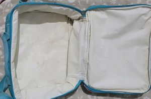 Disney Insulated Lunch Bag