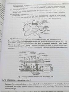 RM AAKASH NEET Zoology Study Package set