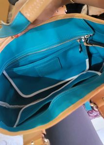 Coach Limited Edition Daisy Soho Tote