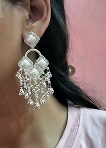 Elegant Drop Earrings