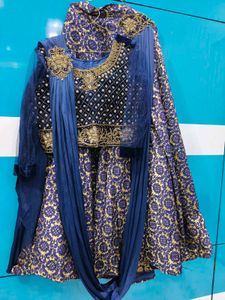 Blue & Gold Embroidered Lehenga Choli