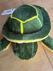Cute Plush Turtle Toy