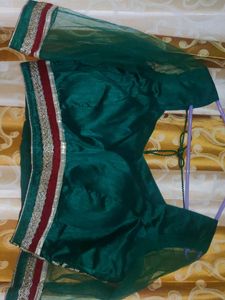 Embroidered Lehenga choli