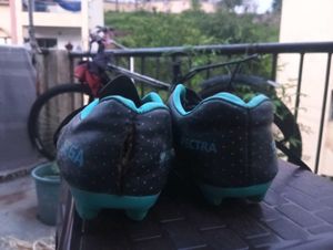 Men's Sports Shoes
