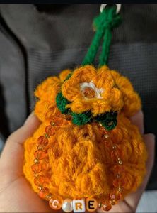 Handmade Crochet earpod pouch with Beads