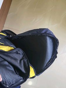 Skybags Backpack