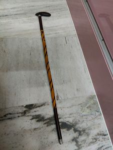 Men Standing Supporting Stick For Elder People