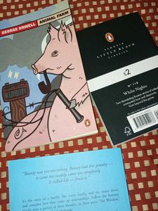 Classic Literature Bundle