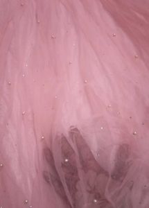 Pink Embellished Lehenga Choli