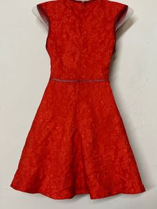 Branded Vibrant Red Lace mini Dress