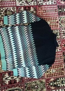 Chunky Knit Turtleneck Sweater