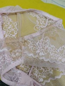2012 -- stained clearance sale panty