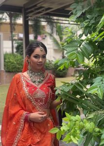 Stunning Red &amp; Gold Embellished Lehenga Choli