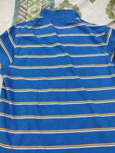 Men's Blue Striped Polo T- Shirt