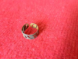 New Moustache Ring And Used Thumb Ring