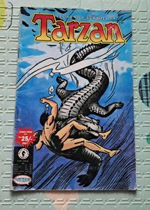 Edgar Rice Burroughs Tarzan Comic Book