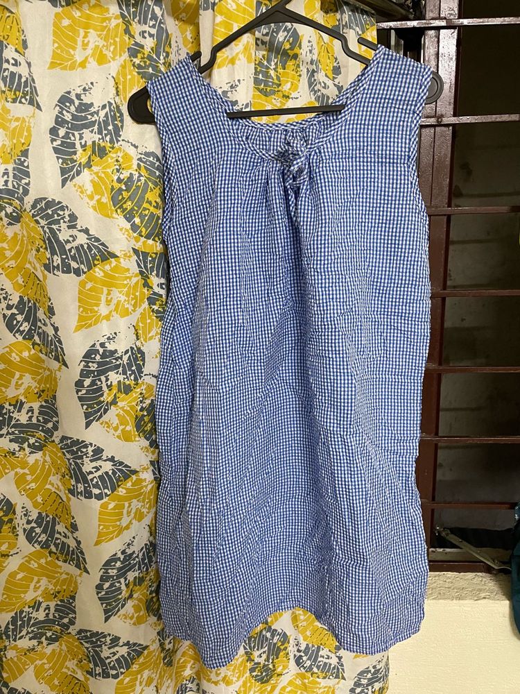Blue Gingham Sleeveless dress