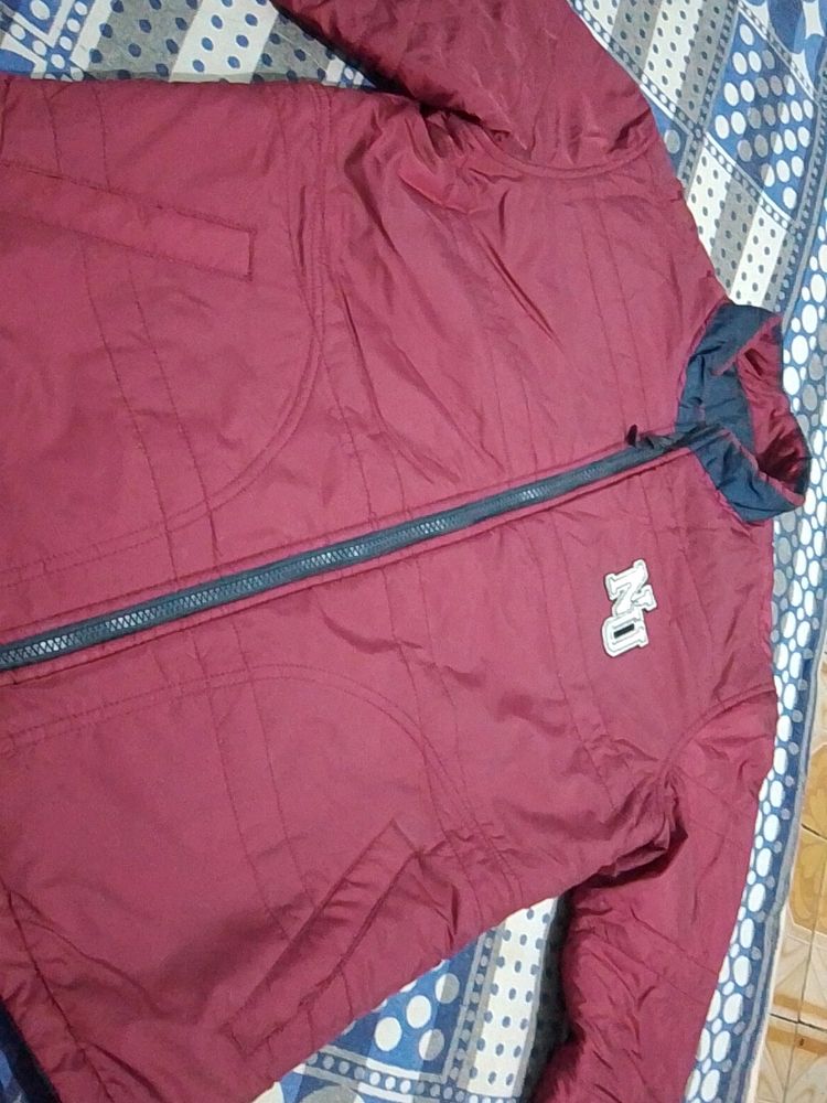 Winter Wear Jacket For Men