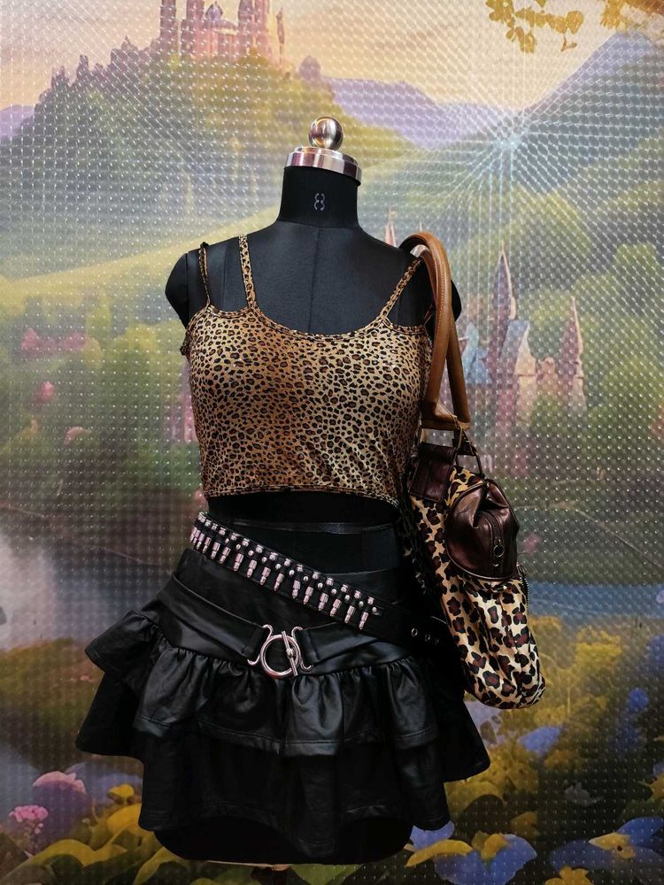 Leopard Print Crop Top &amp; Skirt Set