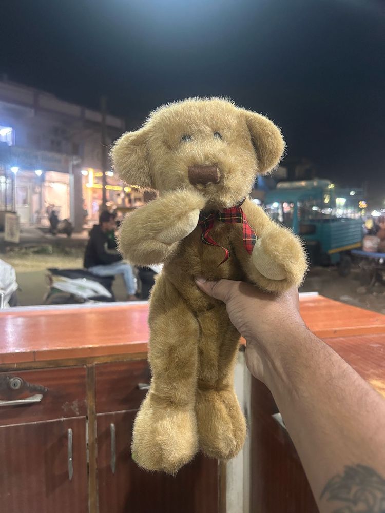 Playful Plush Teddy Bear - 12 Inch (31cm) - Sydney
