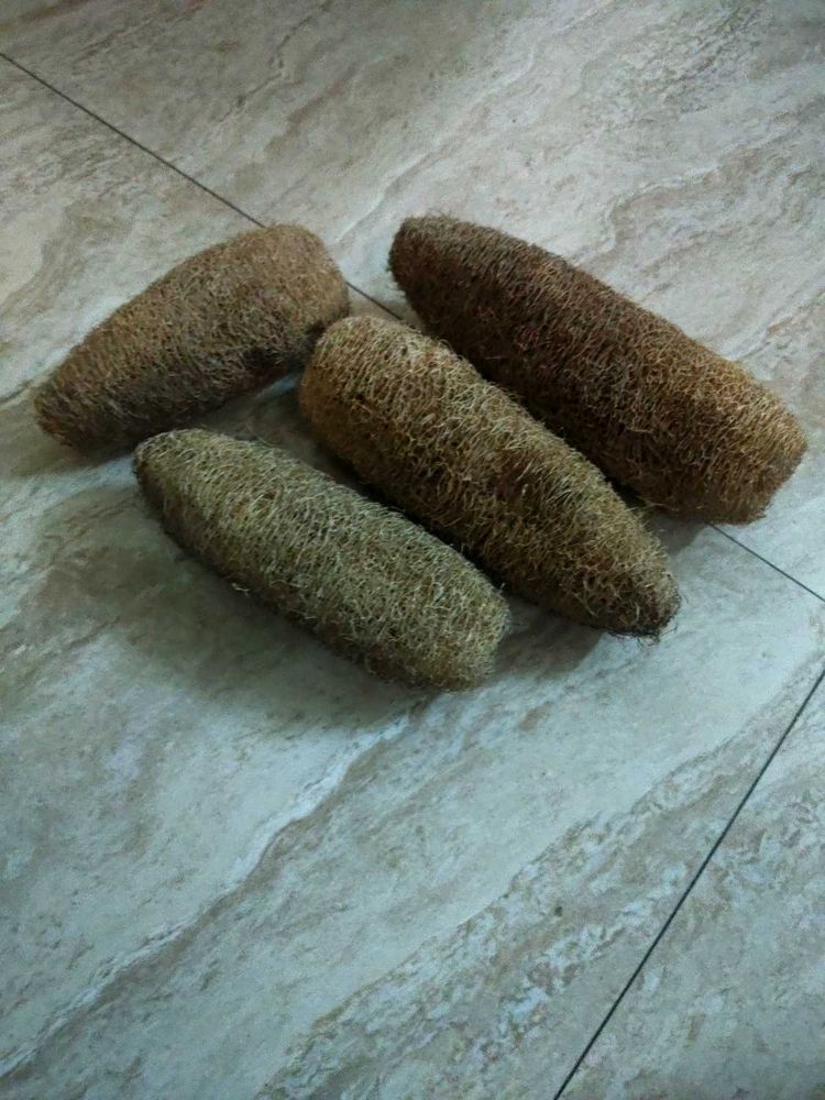 Best Natural Loofah Sponge
