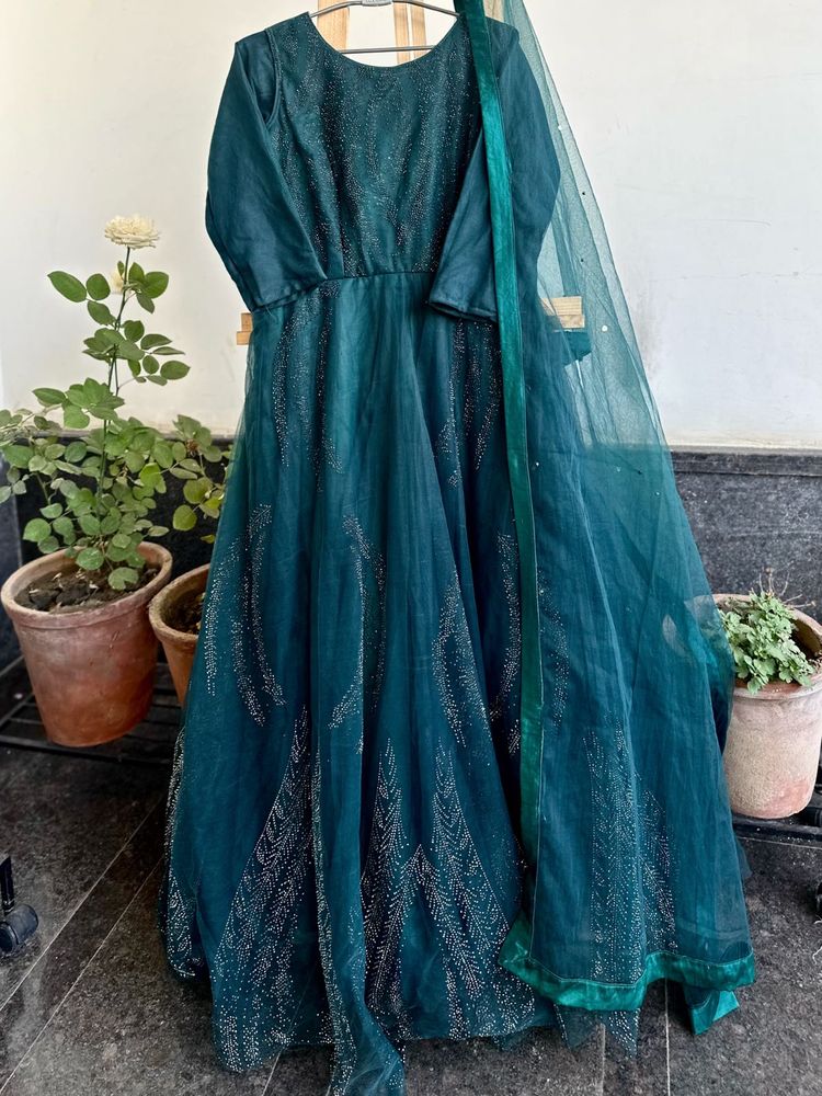 Net Embellished ethnic gown