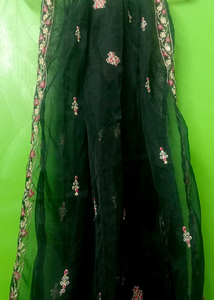 Embroidered Dark black Dupatta