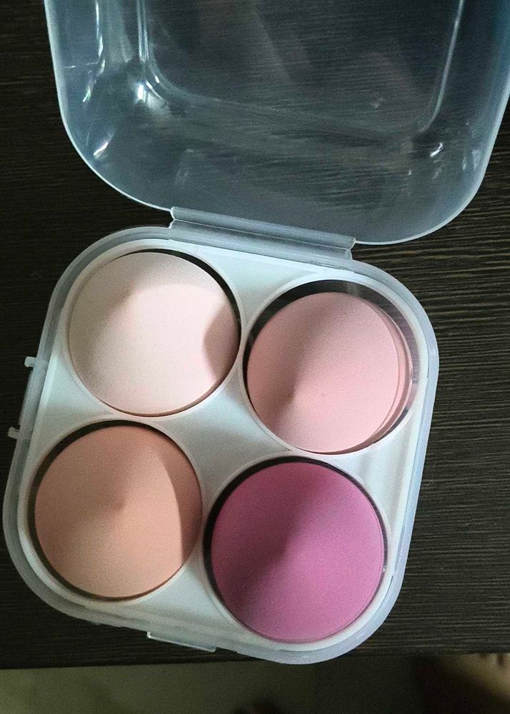 4-Piece Makeup Sponge Set with Case