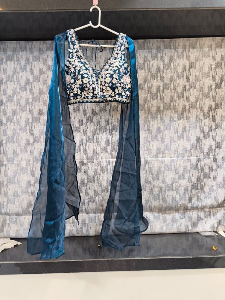 Embroidered Blue lehanga set