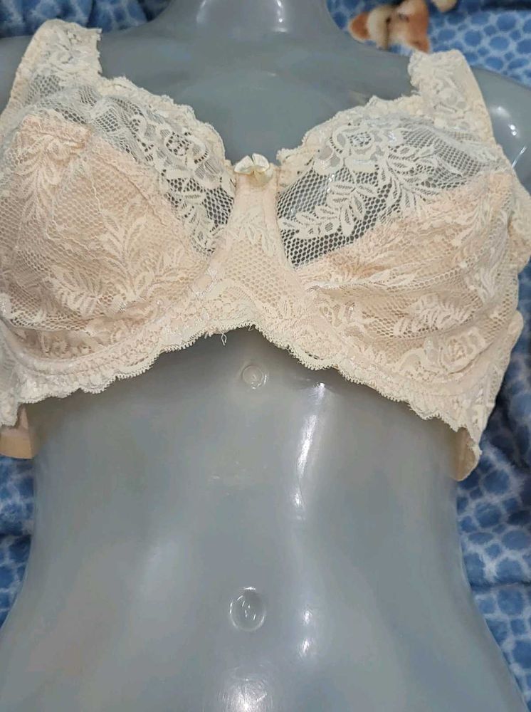Elegant Lace Bra