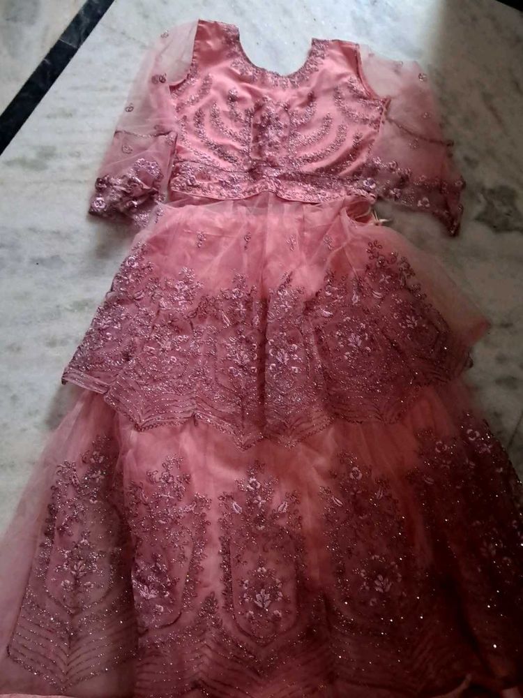 Net Thread Work Sharara In Pink