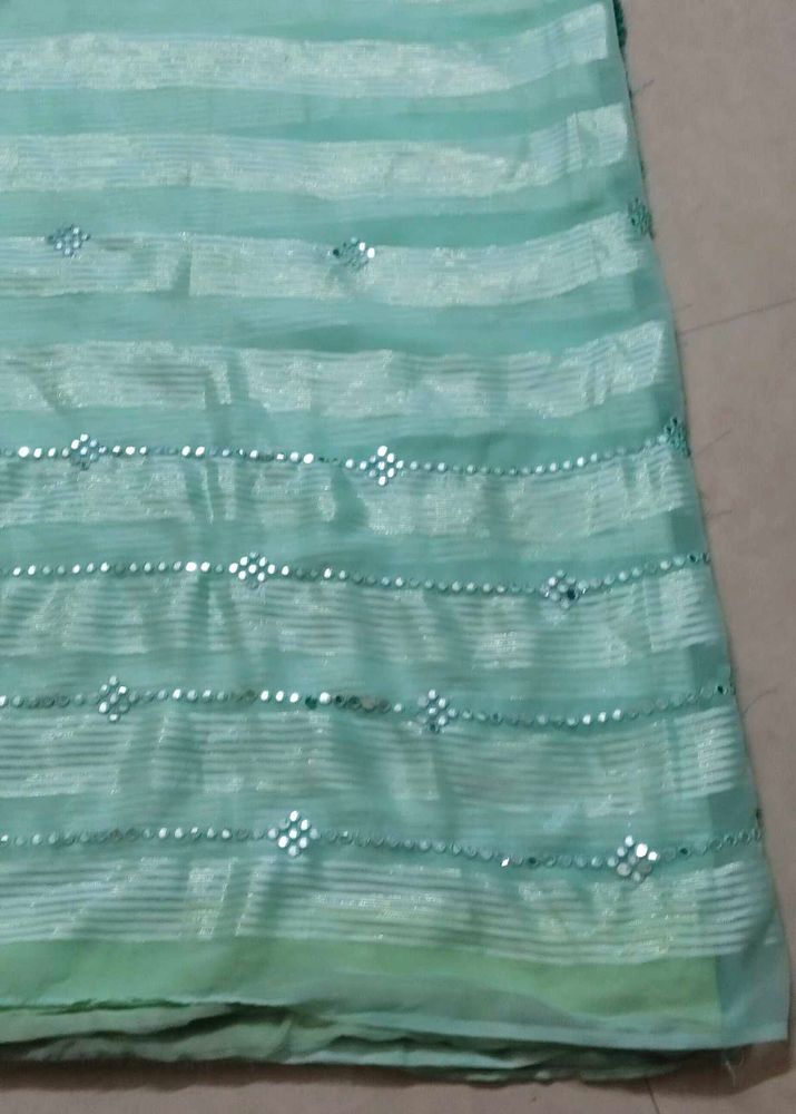 Beautiful Mint Green Striped Saree with Mirror Wor