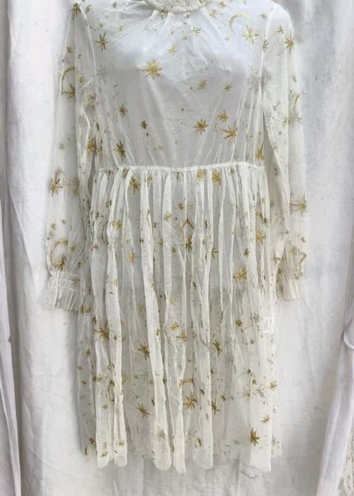 Sheer Star Print Mini Dress