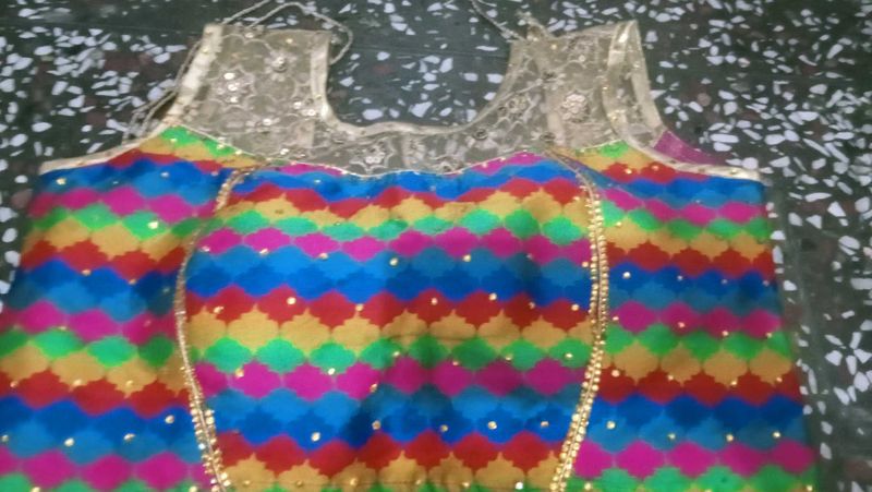 Vibrant Patterned Saree Blouse