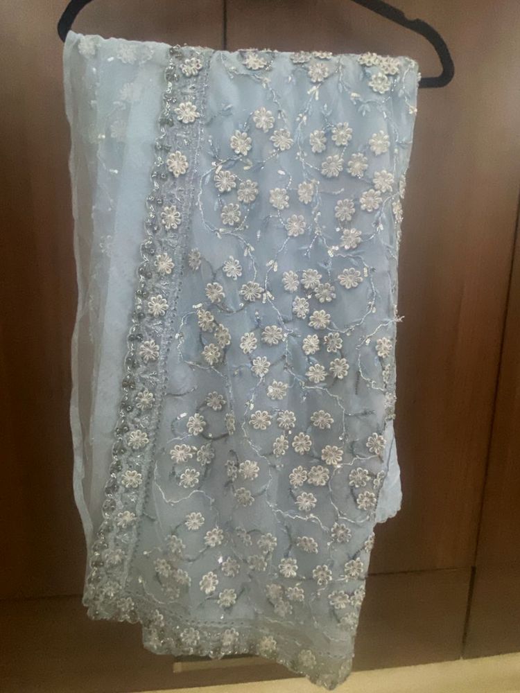 Sky Blue Net Designer Saree