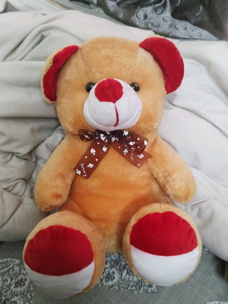 Cute Teddy Bear