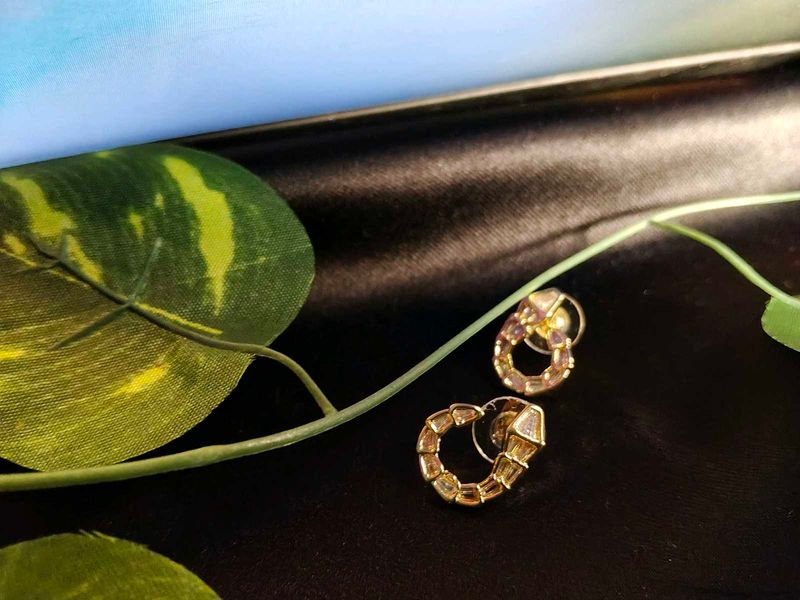 Stylish Snake Design Earrings