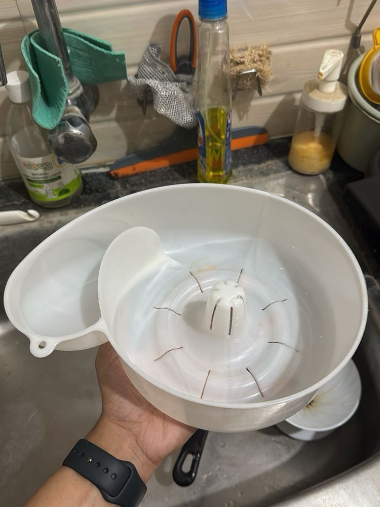 Spin fruit rinser