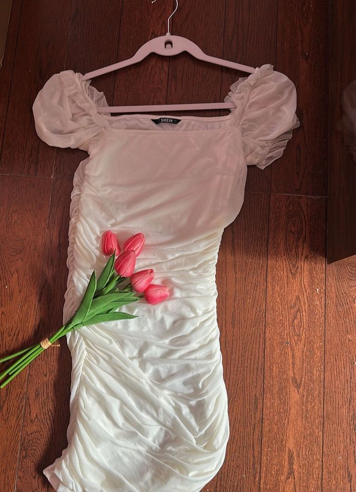 Chic Ruched Mesh Puff Sleeve Dress