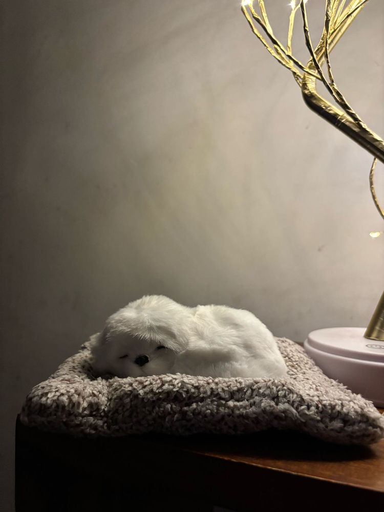 Brand New Adorable Sleeping Puppy Plush Toy