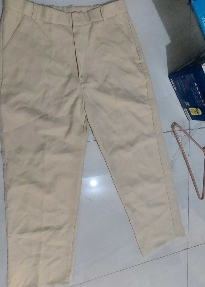 Classic Beige Casual Pants