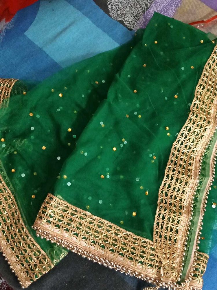 Elegant Green &amp; Gold Embellished Dupatta