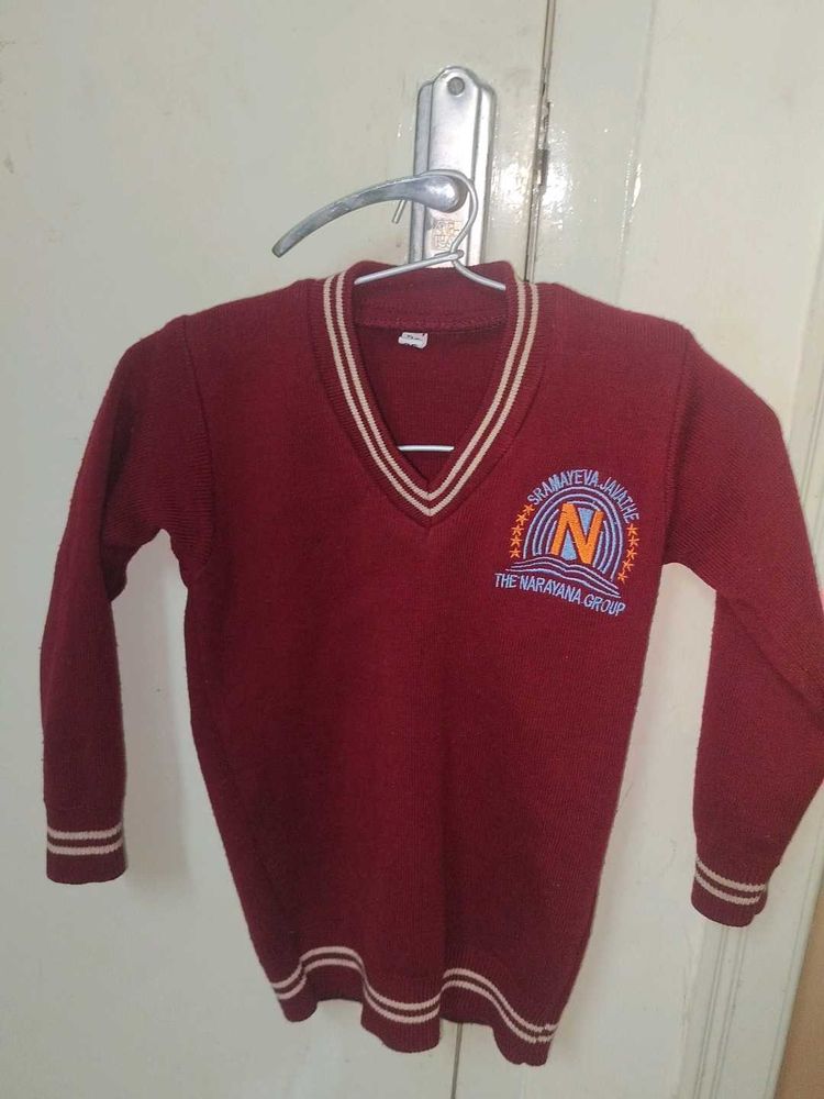 Maroon V-Neck Sweater