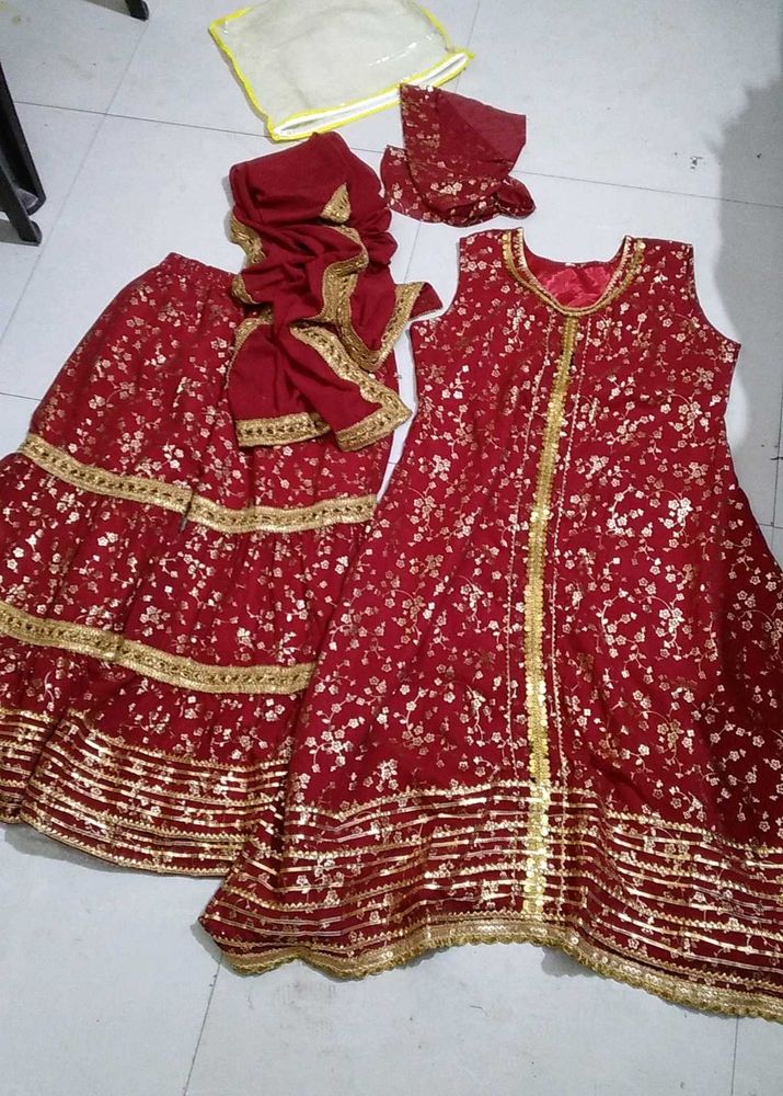 festive sharara set