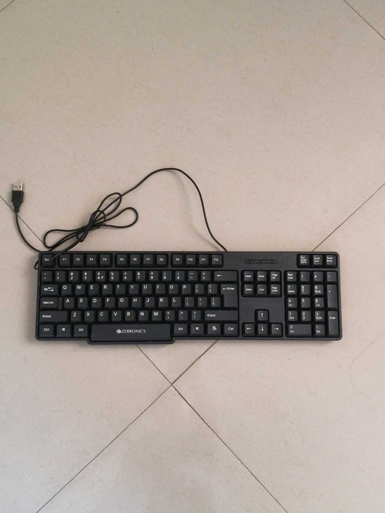 Zebronics USB Keyboard