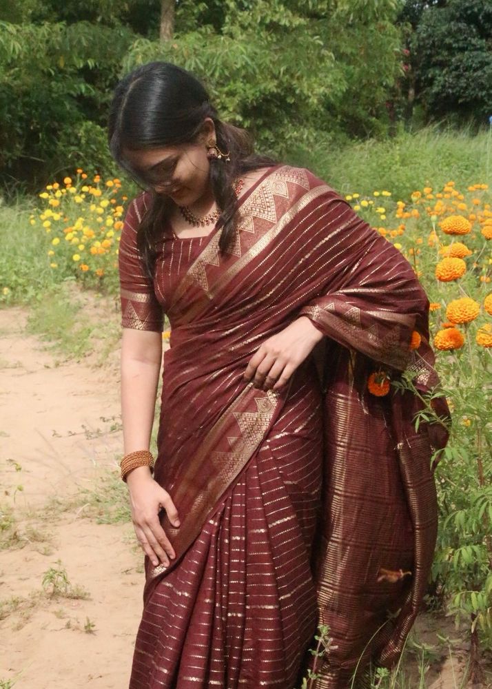 Seematti brown saree